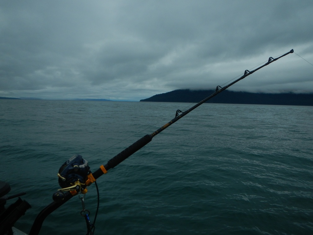 Best Rod and Reel Setup For Rock Cod? - Kayak Fishing Adventures