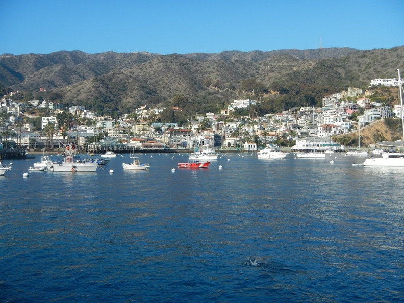DSCN3496.JPG