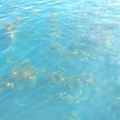 DSCN3497