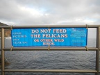 pelican sign