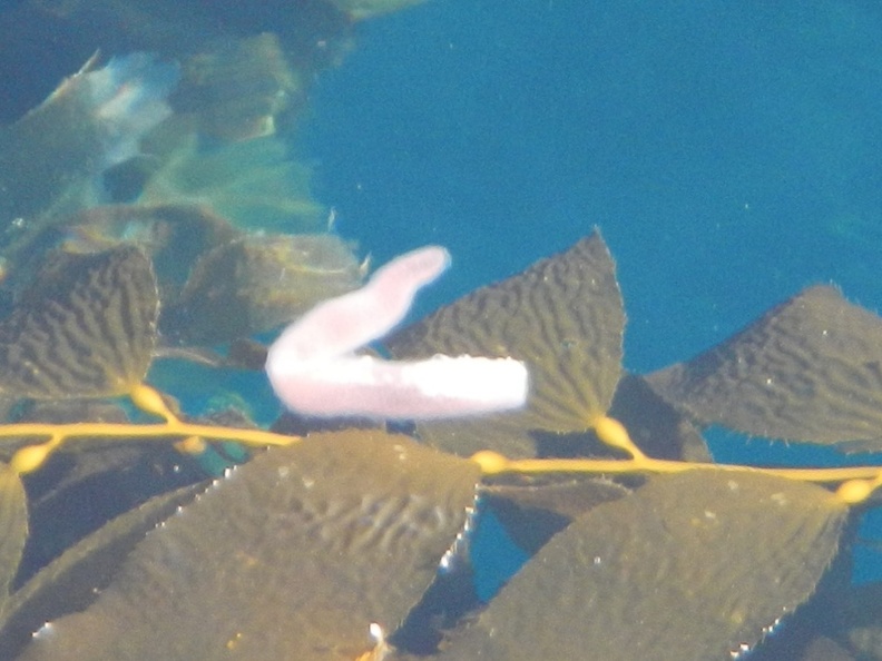 DSCN3603.JPG