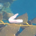 DSCN3603