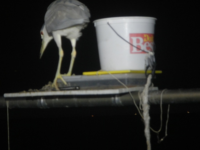 DSCN3635.JPG