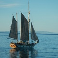 DSCN3642