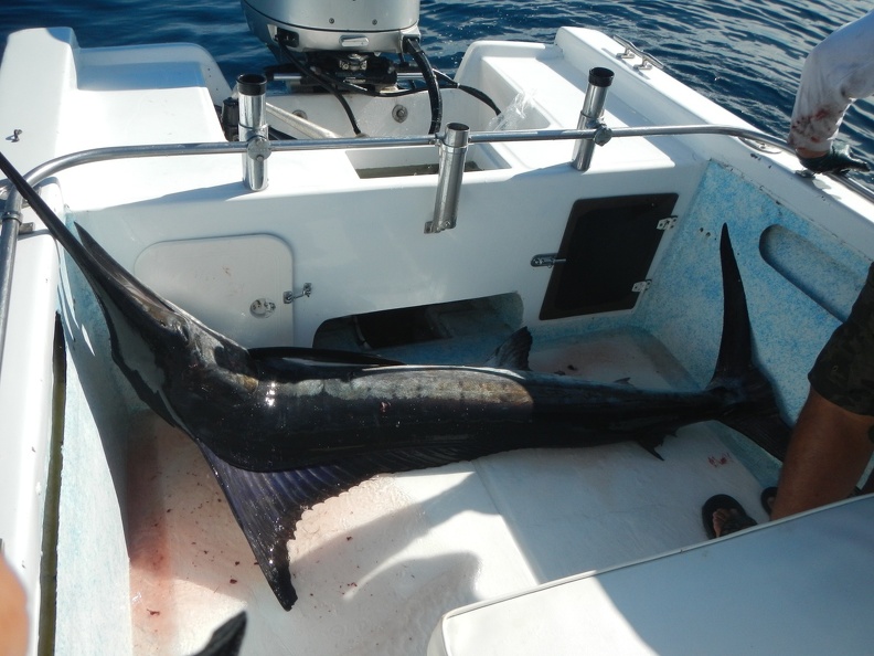 DSCN3749.JPG