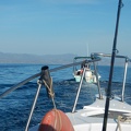 DSCN3762