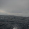 DSCN3778