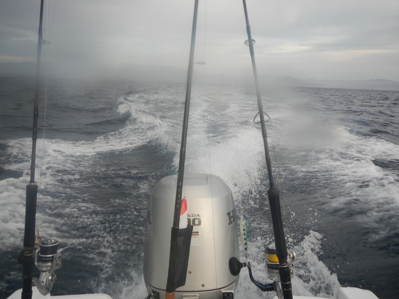 DSCN3780.JPG