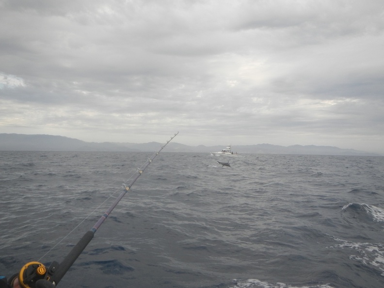 DSCN3789.JPG