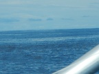 DSCN3917