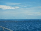 DSCN3920