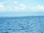 DSCN3922