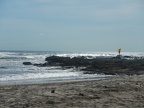 DSCN4031