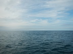DSCN4061