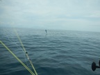 DSCN4070