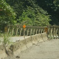 DSCN4080