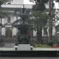 DSCN4142