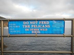 fener pelican sign