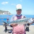 DSCN4481