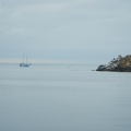 DSCN5977