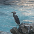 DSCN5974