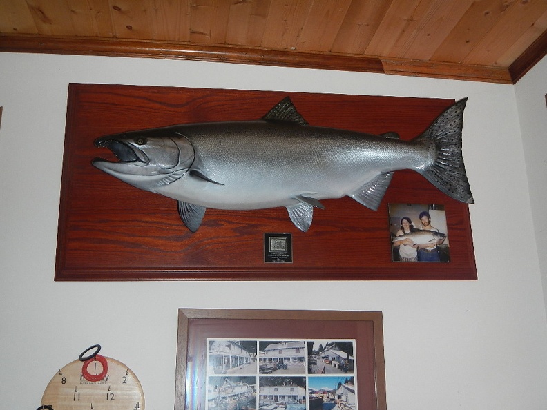 DSCN6260.JPG