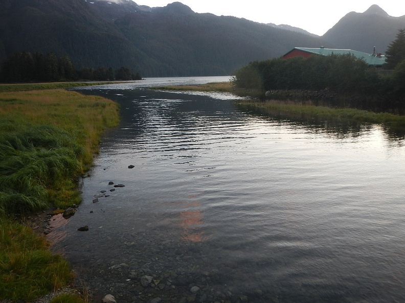 DSCN6309.JPG