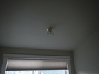DSCN6316