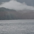 DSC 0004