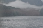 DSC 0004
