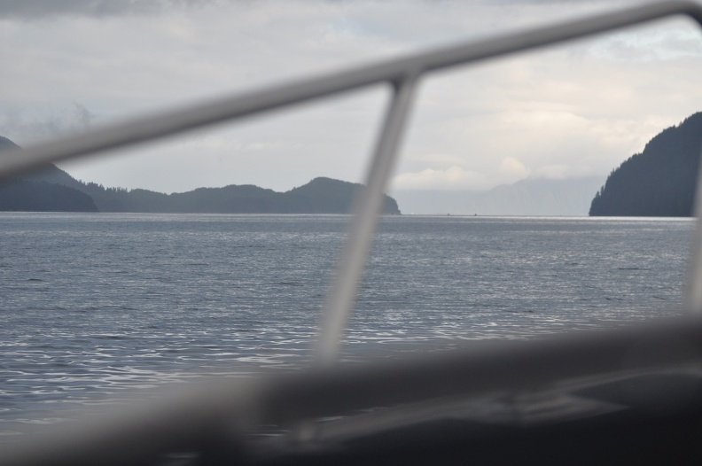 DSC_0006.JPG